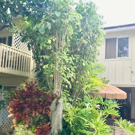 Lovely Relaxing Lanikai Studio, Legal Vacation Rental Kailua Eksteriør billede