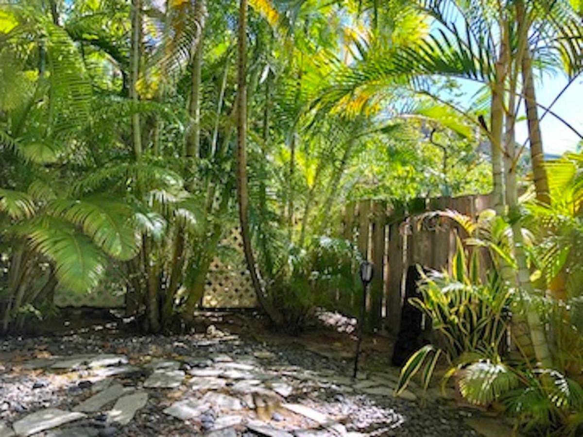 Lovely Relaxing Lanikai Studio, Legal Vacation Rental Kailua Eksteriør billede