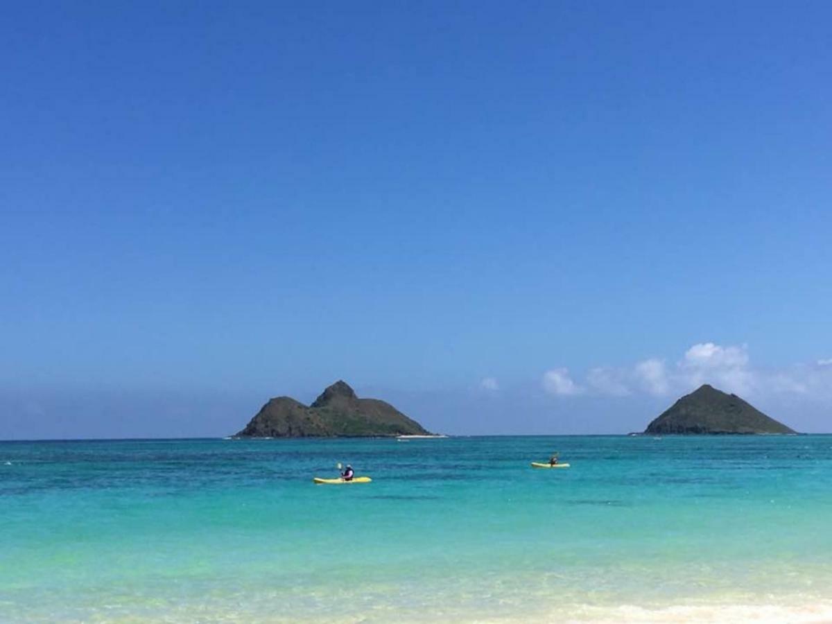 Lovely Relaxing Lanikai Studio, Legal Vacation Rental Kailua Eksteriør billede