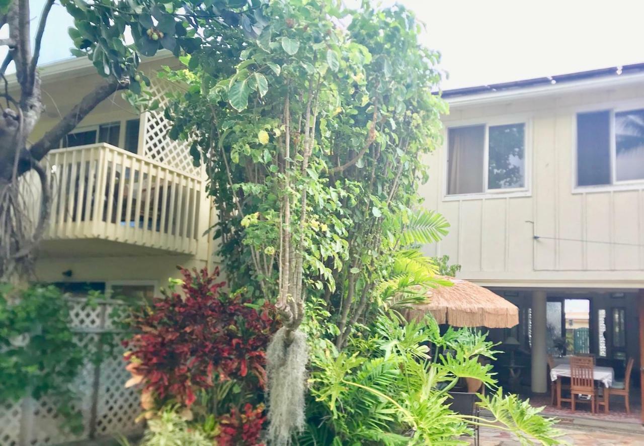 Lovely Relaxing Lanikai Studio, Legal Vacation Rental Kailua Eksteriør billede